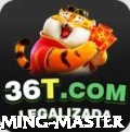 6dpg Gaming Master